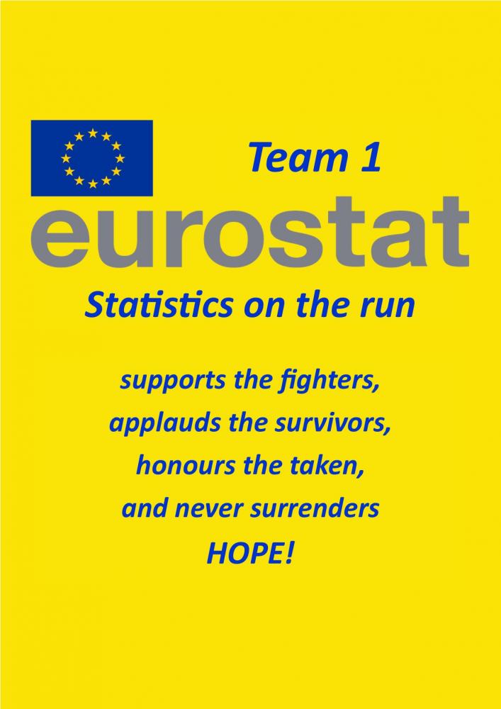 European Commission - Team Eurostat 1